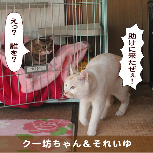 20190930_touko.jpg