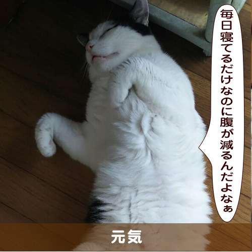 20191002_touko.jpg