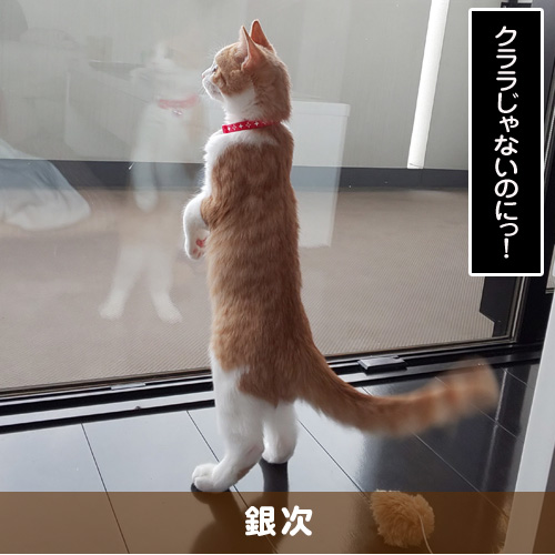 20191003_touko.jpg