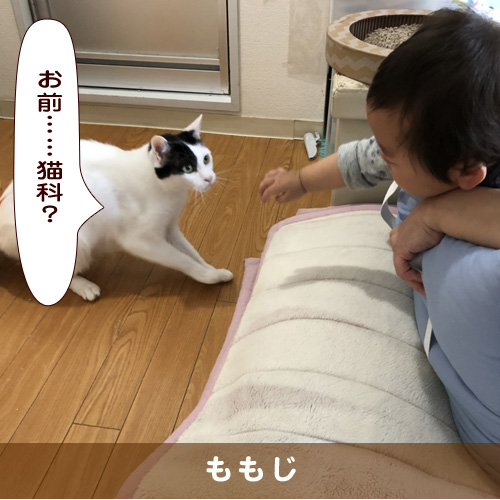 20191004_touko.jpg