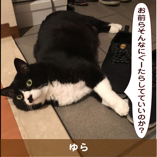 20191005_touko.jpg