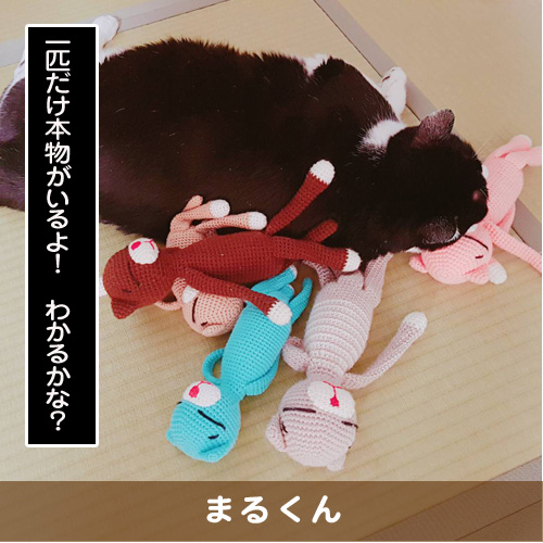 20191006_touko.jpg