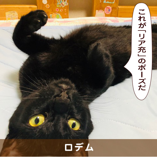 20191007_touko.jpg