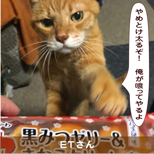 20191008_touko.jpg