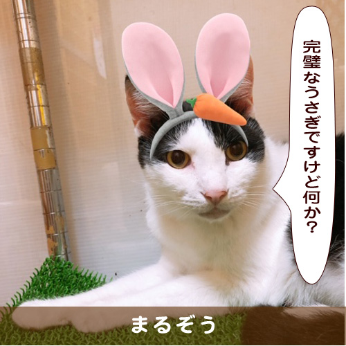 20191011_touko.jpg