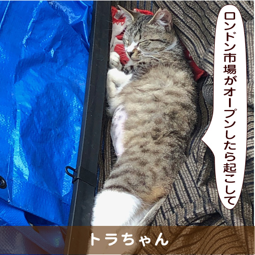 20191012_touko.jpg