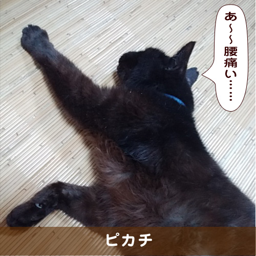 20191013_touko.jpg