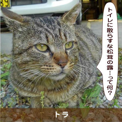 20191015_touko.jpg
