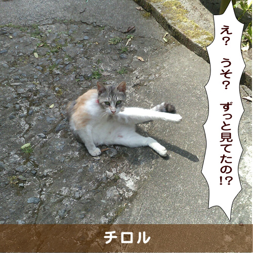 20191016_touko.jpg