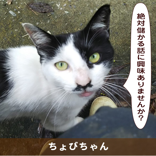 20191017_touko.jpg