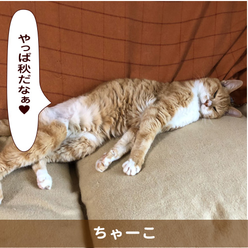 20191018_touko.jpg