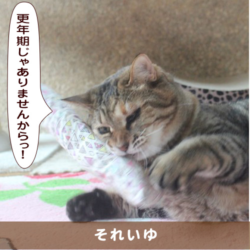 20191020_touko.jpg