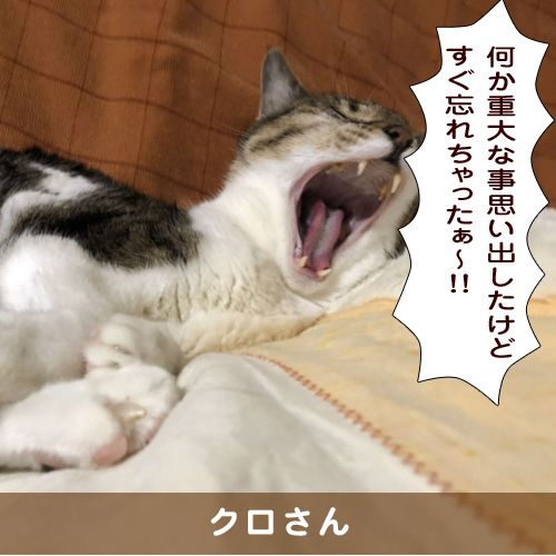 20191021_touko.jpg