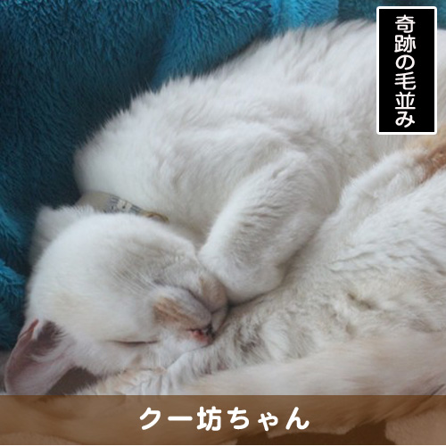 20191022_touko.jpg