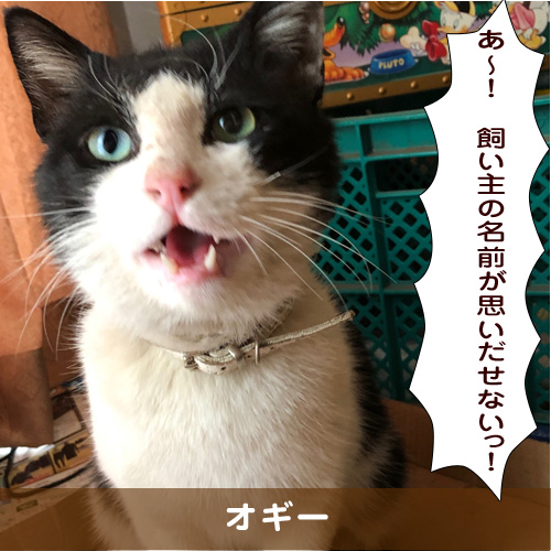 20191023_touko.jpg