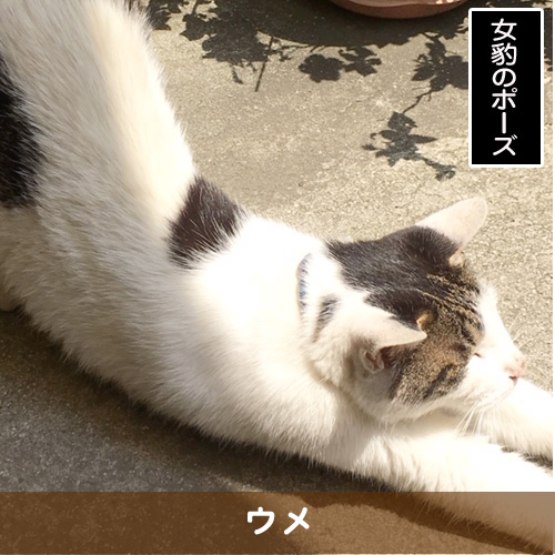 20191024_touko.jpg