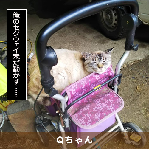 20191025_touko.jpg
