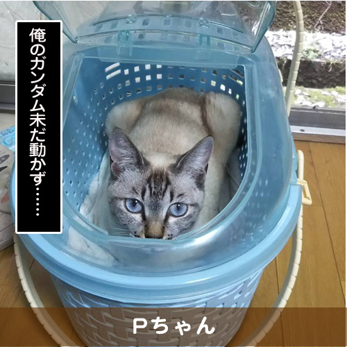 20191026_touko.jpg