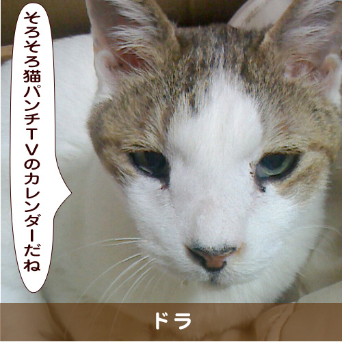 20191027_touko.jpg