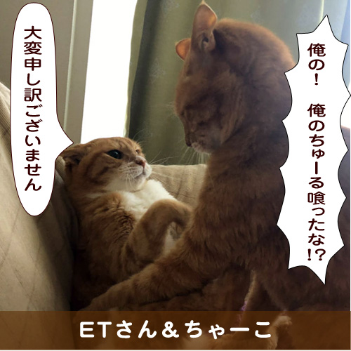 20191029_touko.jpg