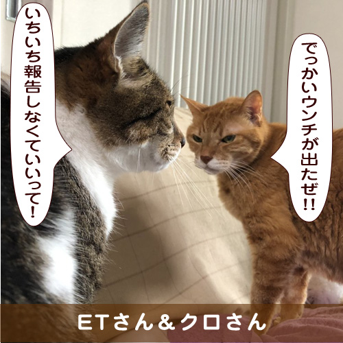20191030_touko.jpg
