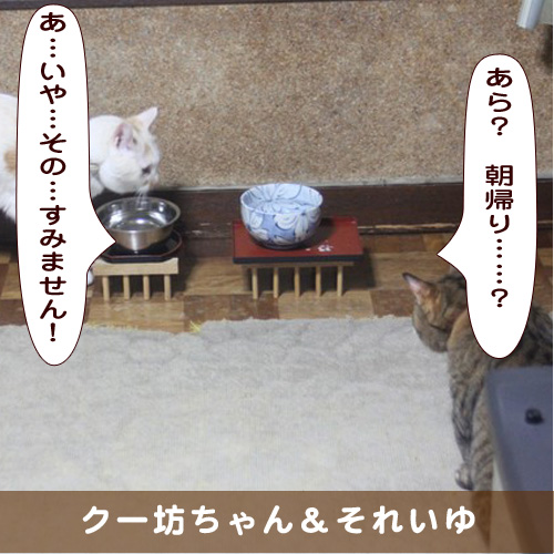 20191031_touko.jpg
