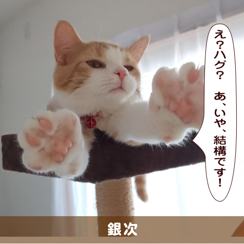 20191101_touko.jpg