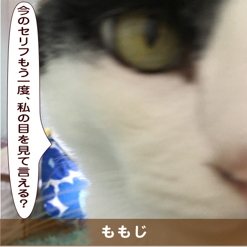20191102_touko.jpg