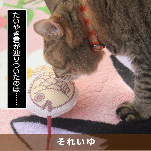 20191103_touko.jpg