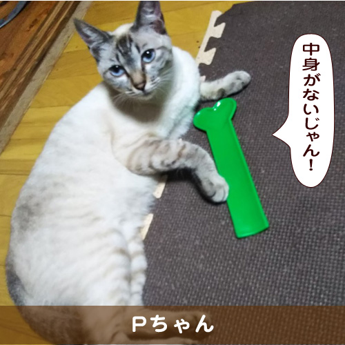 20191104_touko.jpg