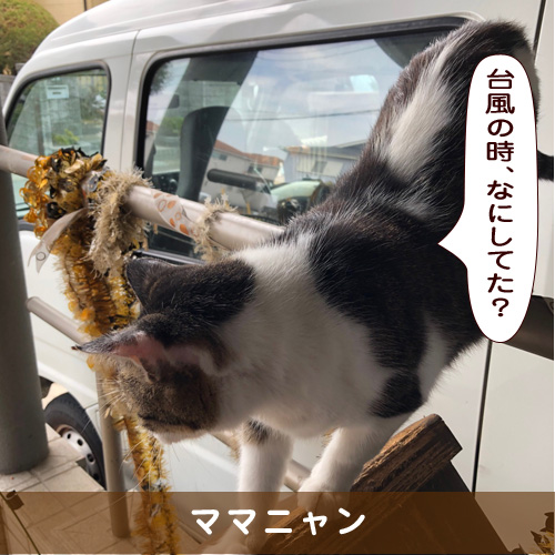 20191105_touko.jpg