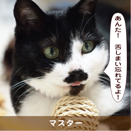 20191106_touko.jpg