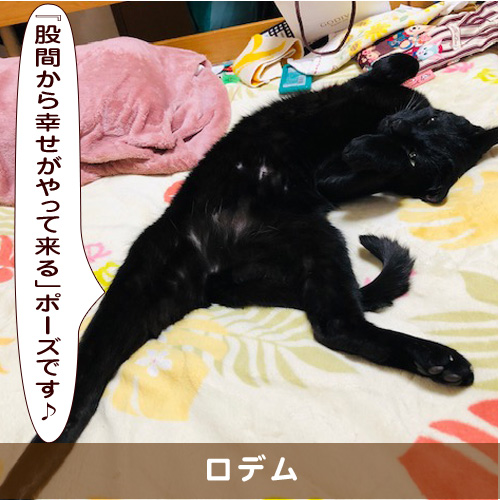 20191107_touko.jpg