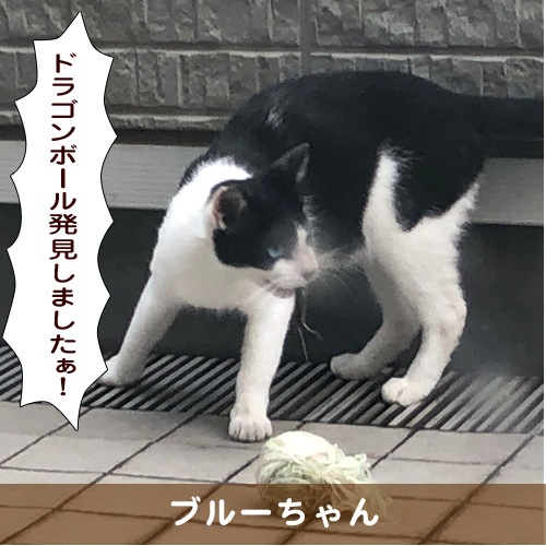 20191108_touko.jpg