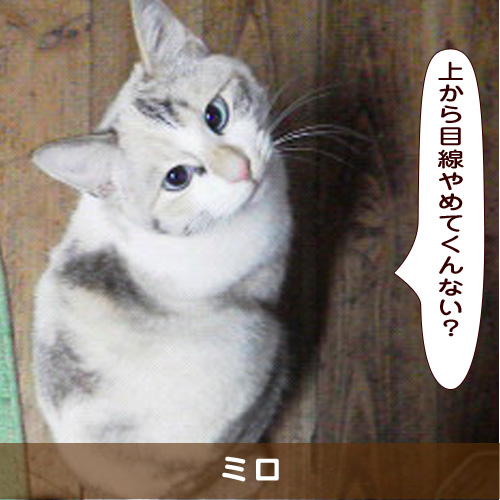 20191109_touko.jpg
