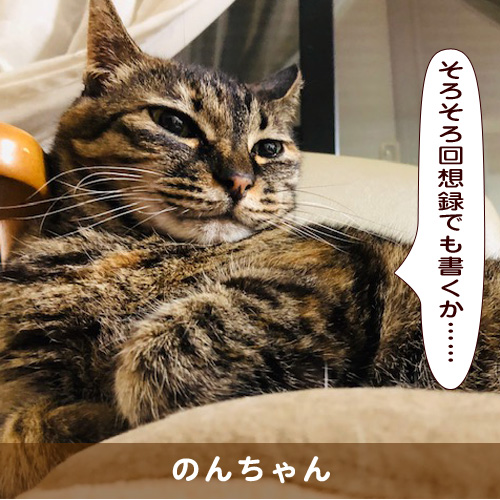 20191110_touko.jpg