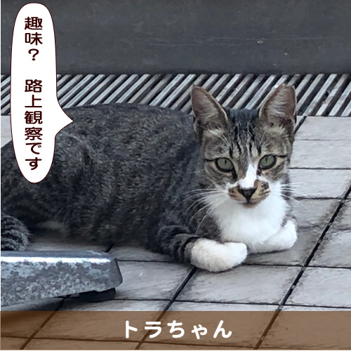 20191111_touko.jpg