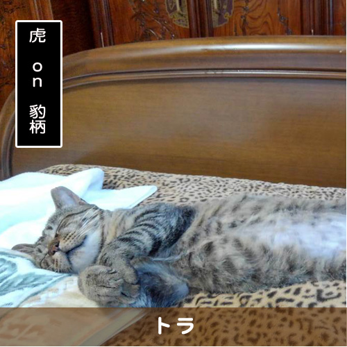 20191112_touko.jpg