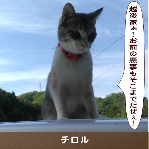 20191113_touko.jpg