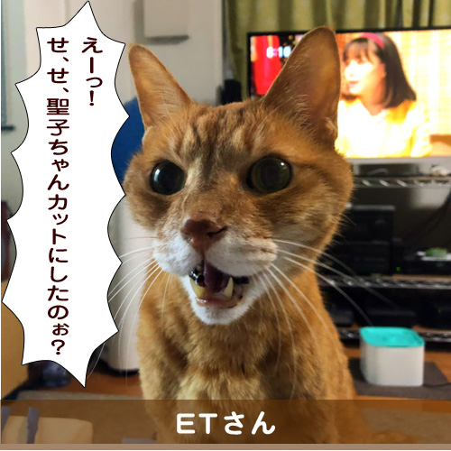 20191114_touko.jpg