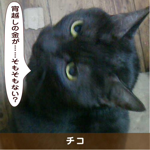 20191115_touko.jpg