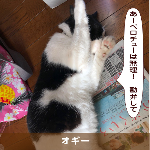 20191118_touko.jpg
