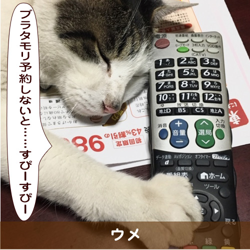 20191119_touko.jpg