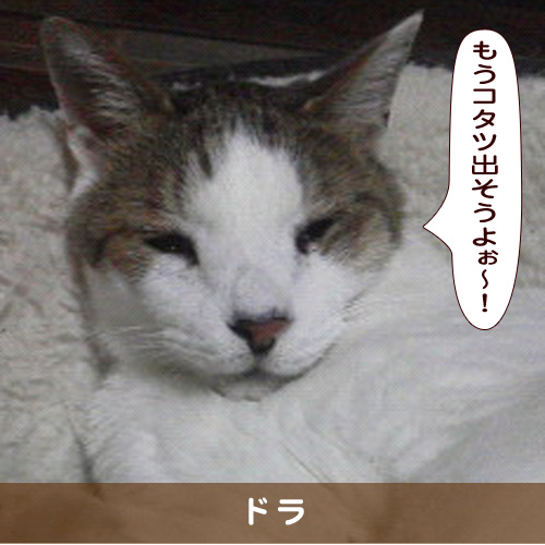 20191120_touko.jpg