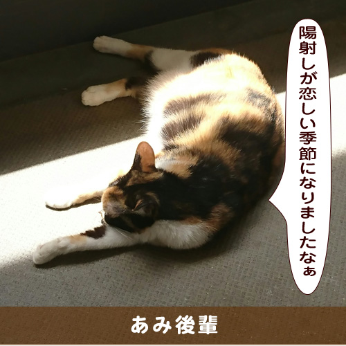 20191121_touko.jpg