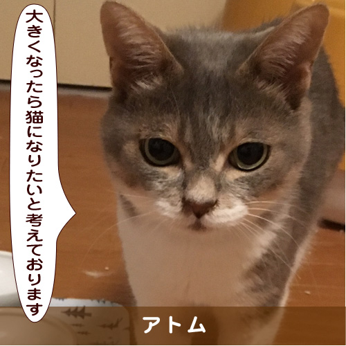 20191124_touko.jpg