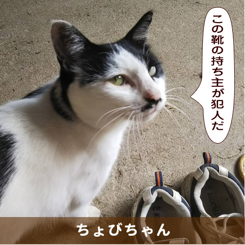 20191125_touko.jpg