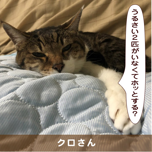 20191126_touko.jpg