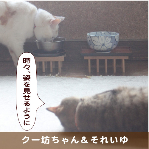 20191130_touko.jpg