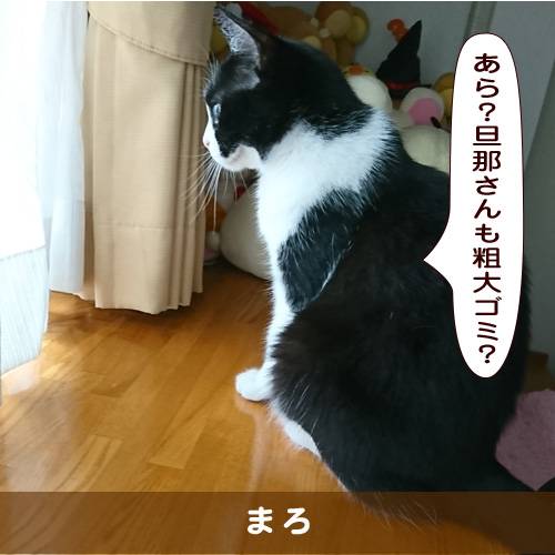 20191202_touko.jpg